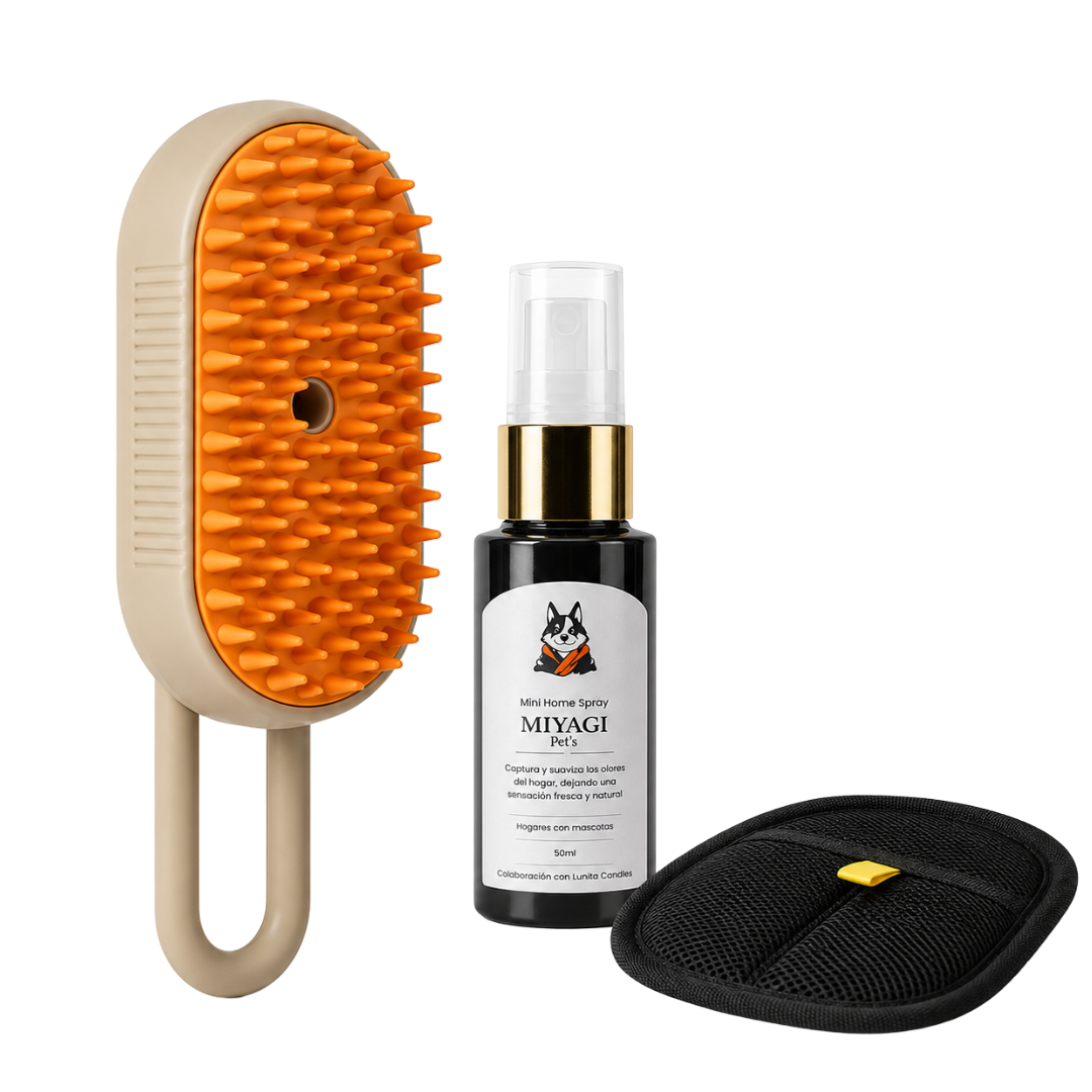 Kit Auto Impecable