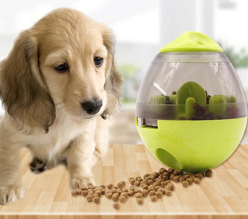 Dispensador FeedFun Egg