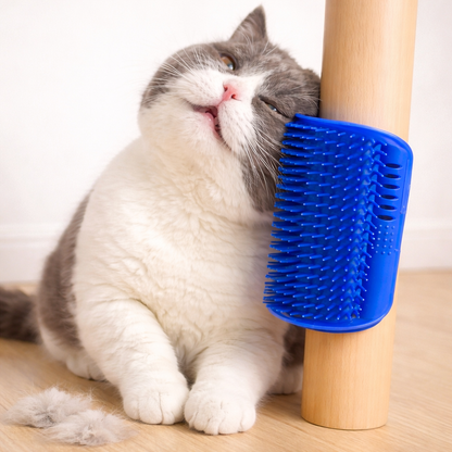 Cat Corner
